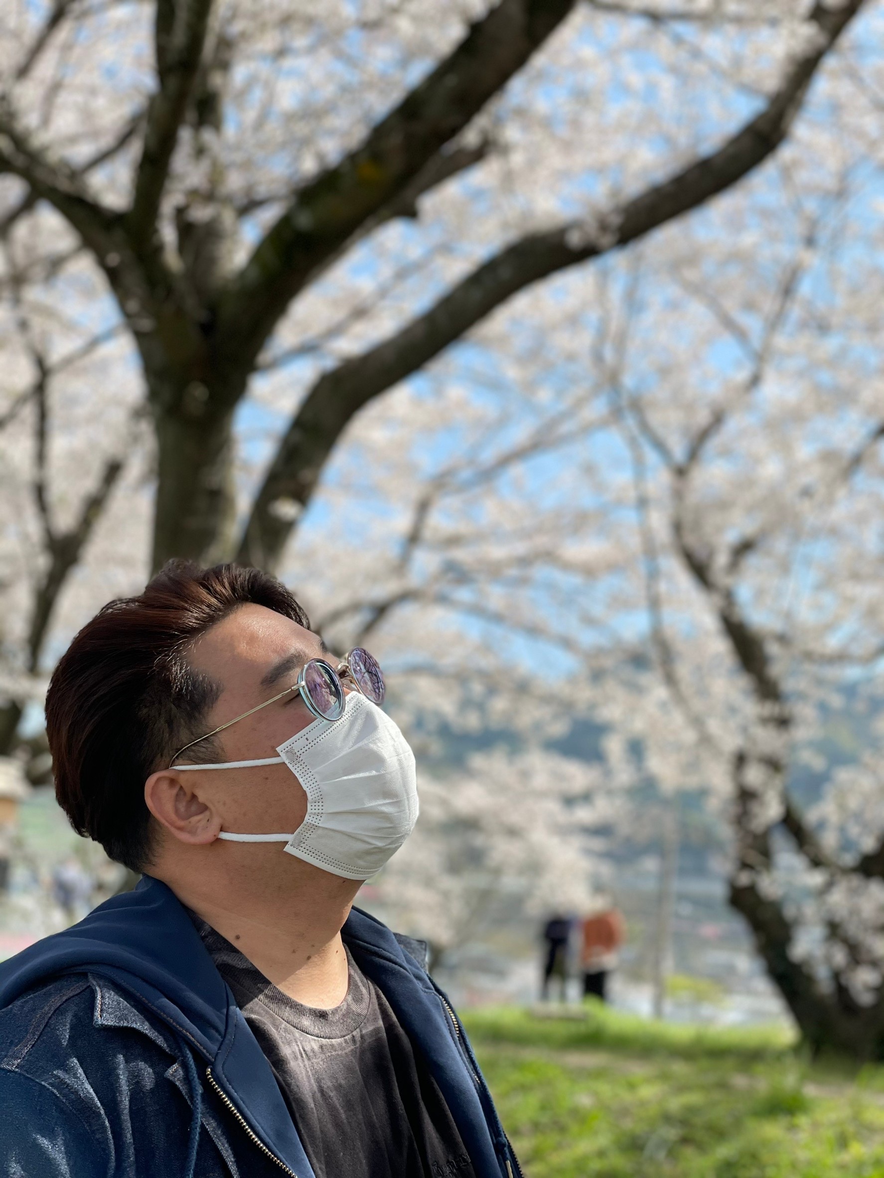 鑑定師 画像